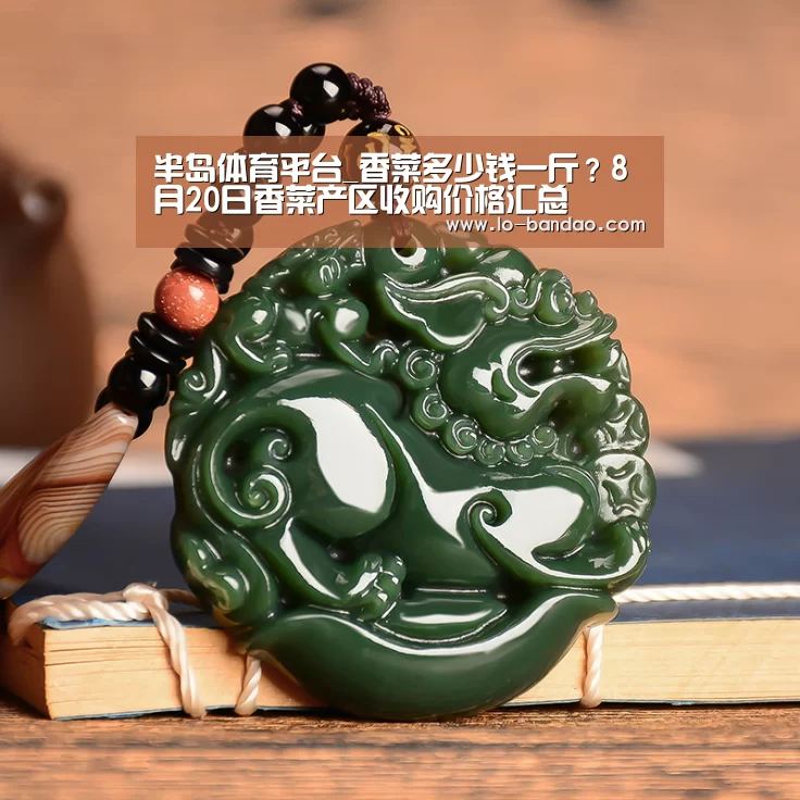 半岛体育平台_香菜多少钱一斤?8月20日香菜产区收购价格汇总(图3) 半岛体育平台