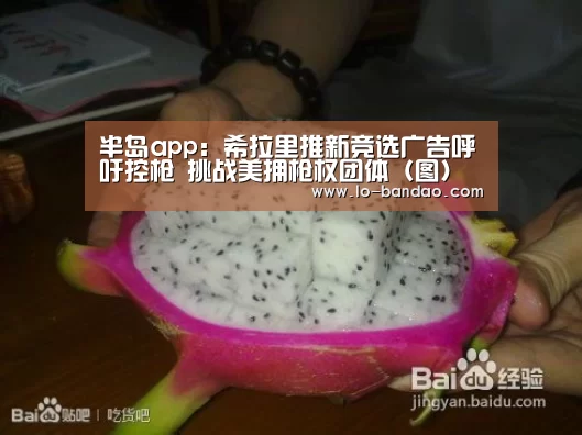 半岛app:希拉里推新竞选广告呼吁控枪 挑战美拥枪权团体(图)(图2) 半岛app