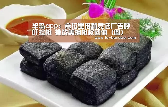 半岛app:希拉里推新竞选广告呼吁控枪 挑战美拥枪权团体(图)(图3) 半岛体育在线下载
